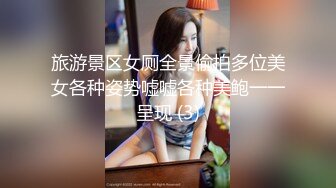 旅游景区女厕全景偷拍多位美女各种姿势嘘嘘各种美鲍一一呈现 (3)