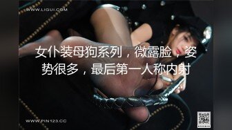 女仆装母狗系列，微露脸，姿势很多，最后第一人称内射