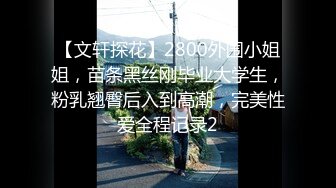 【文轩探花】2800外围小姐姐，苗条黑丝刚毕业大学生，粉乳翘臀后入到高潮，完美性爱全程记录2