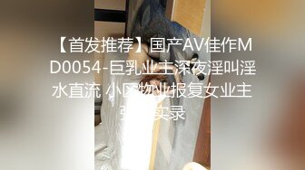 【首发推荐】国产AV佳作MD0054-巨乳业主深夜淫叫淫水直流 小区物业报复女业主强上实录