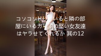 コソコソHしていると隣の部屋にいるガードの堅い女友達はヤラせてくれるか 其の12