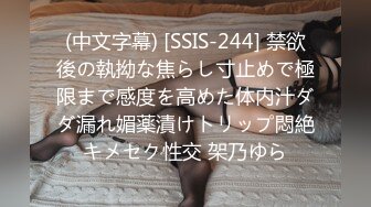 (中文字幕) [SSIS-244] 禁欲後の執拗な焦らし寸止めで極限まで感度を高めた体内汁ダダ漏れ媚薬漬けトリップ悶絶キメセク性交 架乃ゆら