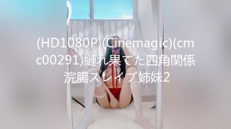 (HD1080P)(Cinemagic)(cmc00291)縺れ果てた四角関係 浣腸スレイブ姉妹2