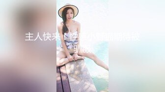 主人快来！性感小野猫期待被驯服