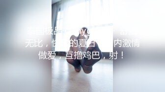 泰国极品··  ·mygif77 ··  舒服无比，快乐的夏日，车内激情做爱，互撸鸡巴，射！