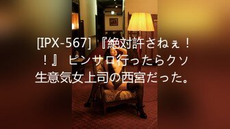 [IPX-567] 『絶対許さねぇ！！』 ピンサロ行ったらクソ生意気女上司の西宮だった。